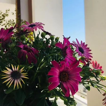 公寓 Casa Eugenia Ghome