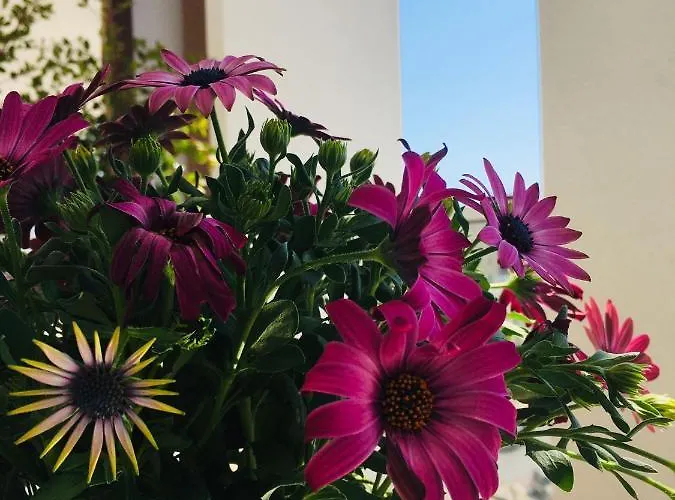 Appartement Casa Eugenia Ghome